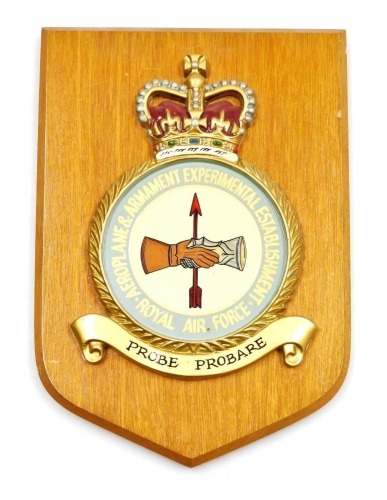 An RAF plaque, for the Royal Air Force Aeroplane and Armament Experimental Establishment, shield mounted, 26cm high.