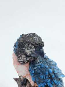 A 20thC resin sculpture of a parrot on a perch, with pink breast and blue feathers, on a rectangular hardwood base, 58cm high, 26cm x 24cm. - 3