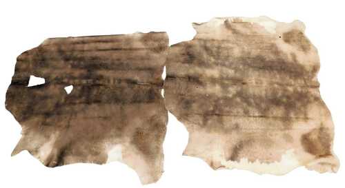 Two bull or cow hide rugs, in shades of brown and white, approx 2201cm x 2200cm, and approx 2404cm x 2404cm. (AF)