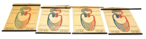 Four St Johns Ambulance medical posters, Circulation, Pulmonary and various additional poles. (4, AF)