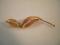 A brooch in the form of a twisted leaf