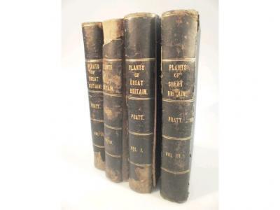 Pratt (Ann) - The Flowering Prance Grasses Sedges of Urns of Great Britain