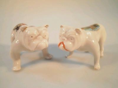A Carlton ware porcelain crested ware Bull Dog