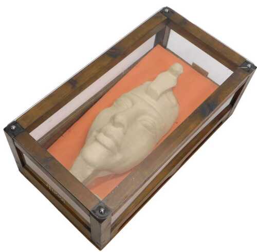 An Ahkenaten Egyptian model head, in a pine and Perspex display case, 24cm high, 57cm wide, 31cm...