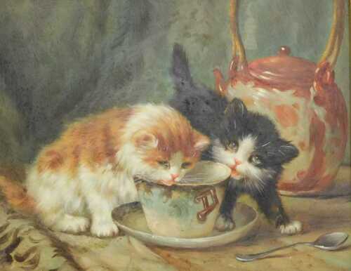 20thC School. Cats drinking from teacup, oil on board, unsigned, 20cm x 25cm, in an ornate gilt...
