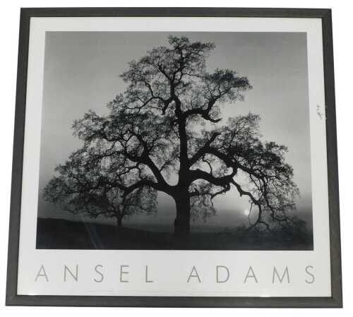 Ansel Adams. Oak Tree Sunset City, California, 1962, reprinted 1997, 59cm x 64cm.