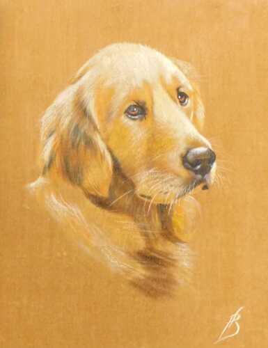 FB. Golden Retriever, oil onto velvet, with initials, 44cm x 34cm.