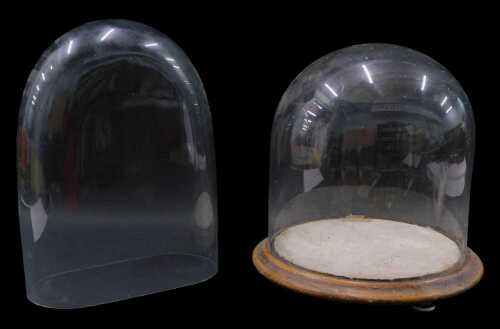 A 20thC glazed dome, on oak stand, 34cm high, and a glass clock dome, 24cm x 12cm. (2)