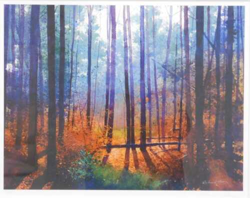 Richard Thorn (20thC). Forest landscape, artist signed limited edition print number 173/295,...