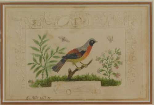Pilot (19thC). Bird on a tree bough, on Dodd's style card, mixed media, signed, 9cm x 14cm.