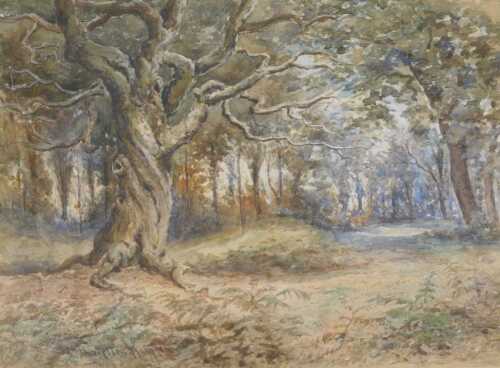 Duchette Harrison (19thC). Woodland landscape, watercolour, signed, 24cm x 33cm.