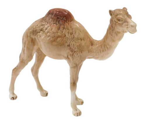 A Beswick figure of a standing camel, 19cm high.