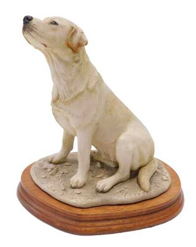 A Border Fine Arts figure yellow labrador, MT01A, on wooden stand, 24cm high.