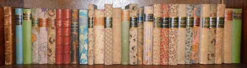 Various books, novels, bindings, leather bound books, etc., mainly in French, classics,...