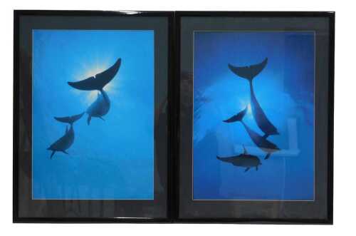 After Talbot. Dolphin Tales, photograph, 72cm x 51cm, and another similar. (2)