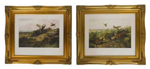 After Archibald Thorburn. Put Up by the Beaters and The Last Bit of Cover, prints, 54cm x 36cm.