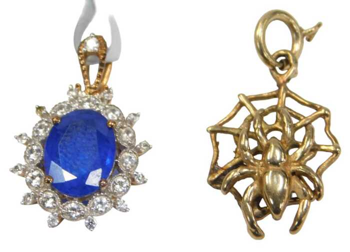 Two 9ct gold pendants, comprising a 9ct gold spider's web and spider, 1.5cm wide, and a 9ct gold...