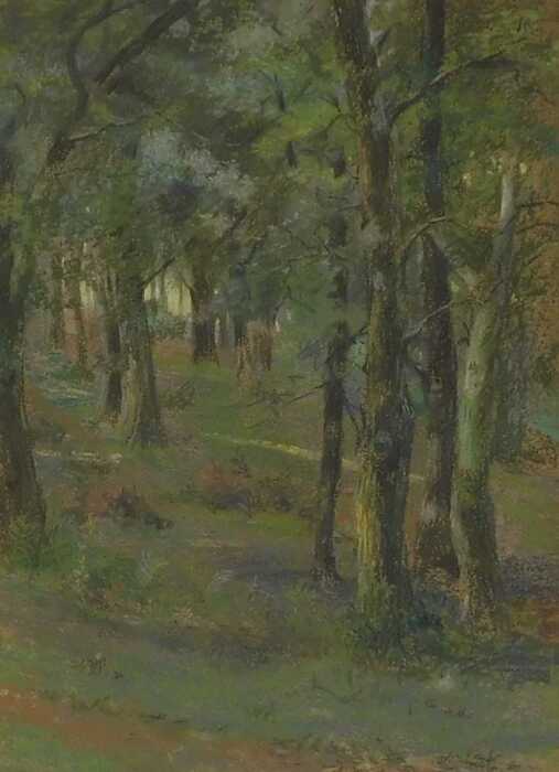 Kewdsick (20thC). Woodland scene, pastel, unsigned, partially attributed verso, 37cm x 27cm.