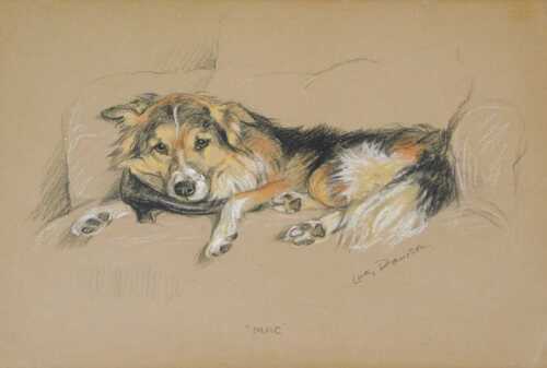 Lucy Dawson (1877-1954). Study of a dog Mack, pastel, signed and titled, 27cm x 39cm.