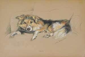 Lucy Dawson (1877-1954). Study of a dog Mack, pastel, signed and titled, 27cm x 39cm.