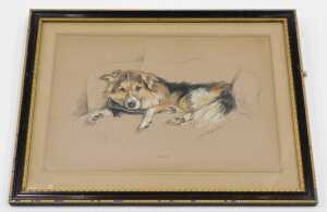 Lucy Dawson (1877-1954). Study of a dog Mack, pastel, signed and titled, 27cm x 39cm. - 2