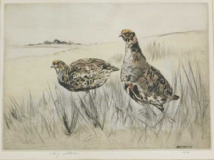 Henry Wilkinson (1921-2011). A pair of grouse in a clearing, artist signed limited edition...