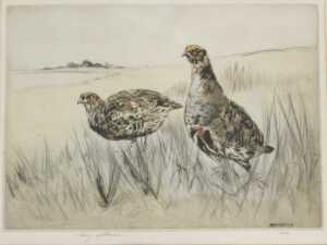 Henry Wilkinson (1921-2011). A pair of grouse in a clearing, artist signed limited edition...