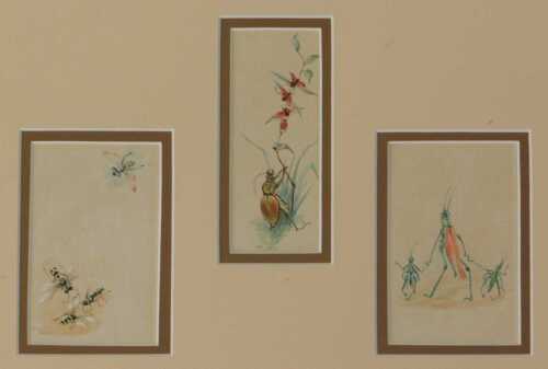 20thC School. Humorous insect, grasshoppers, etc., Shaw style, watercolour, triptych, unsigned,...