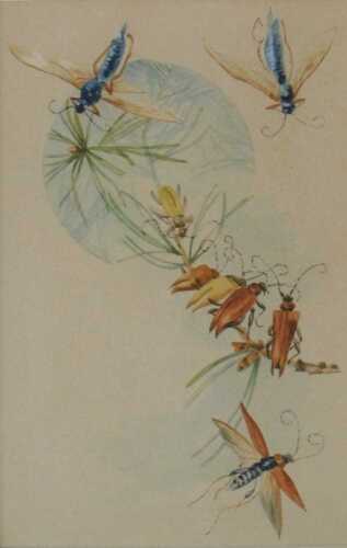 20thC School. Insects, Shaw style, dragonflies, etc., watercolour, unsigned, 16cm x 11cm.