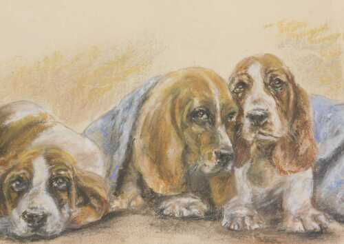 After K Barker. Not Guilty M' Lud!, bassett hounds, pastel, unsigned, 21cm x 31cm.