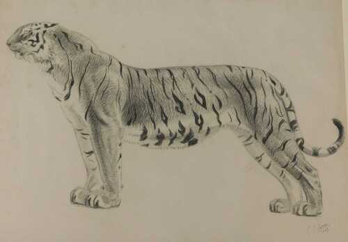 Gustave Guetant (1873-1953). Tiger, charcoal drawing, signed and dated 1943, 45cm x 63cm 
Label...