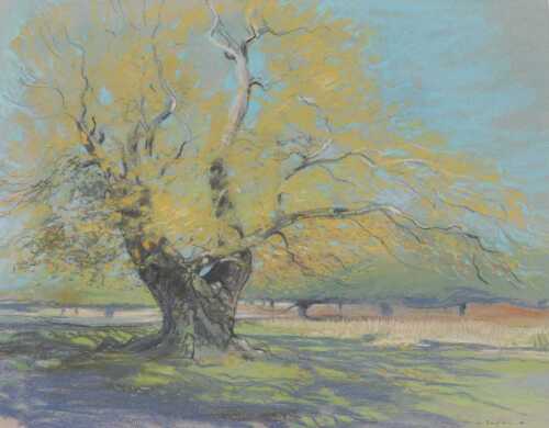 M Broughton (20thC). Tree in parkland, pastel, signed and dated (19)98, 51cm x 64cm.