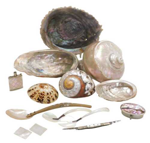 A Marmoratus shell, abalone shells, and a Turbo Sarmaticus shell, together with mother of pearl...