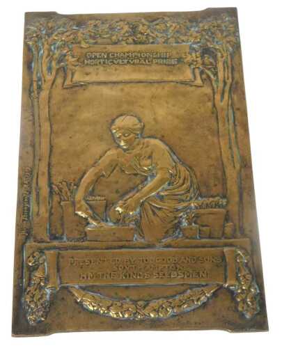 An early 20thC brass plaque, designed by Hamo Thornycroft RA 1919, Open Championship...