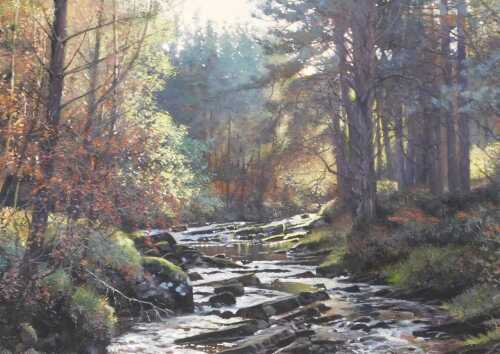 Peter Barker (British b1954). Low Autumn Light on the Dall Burn, oil on board, signed, 24cm x 34cm.