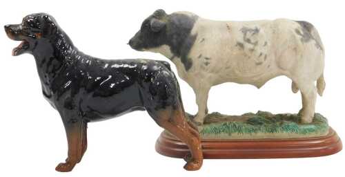 A Border Fine Arts composition figure of a Belgian Blue bull, from the Cattle County Show Series,...