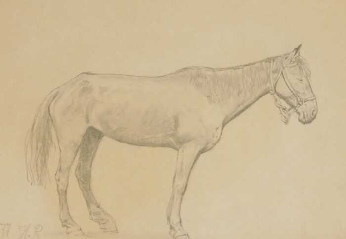 H.P. (19thC). Study of a horse, pencil, signed and dated, 20cm x 28cm.