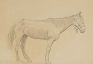 H.P. (19thC). Study of a horse, pencil, signed and dated, 20cm x 28cm.