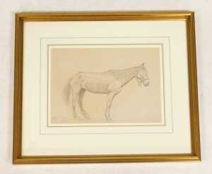 H.P. (19thC). Study of a horse, pencil, signed and dated, 20cm x 28cm. - 2