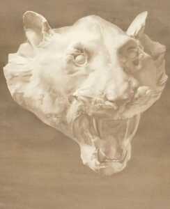 Norah Pearse (1890-1981). Head of a white leopard, after Louis John Steale, watercolour, signed,...