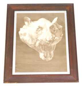 Norah Pearse (1890-1981). Head of a white leopard, after Louis John Steale, watercolour, signed,... - 2