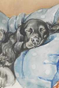 Norah Pearse (1890-1981). A black Labrador resting on a chair, watercolour, unsigned, 35cm x... - 2