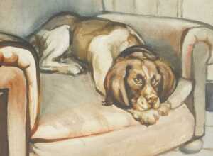 Norah Pearse (1890-1981). A black Labrador resting on a chair, watercolour, unsigned, 35cm x... - 3