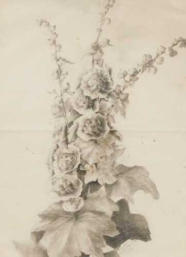 Harriet Jane Neville-Rolfe (1850-1928). Still life of flowers, titled D'apr&egrave;s Nature, charcoal,...