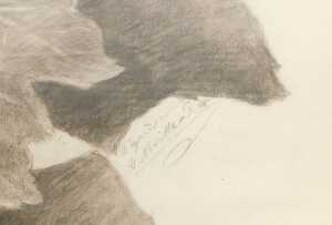 Harriet Jane Neville-Rolfe (1850-1928). Still life of flowers, titled D'apr&egrave;s Nature, charcoal,... - 3