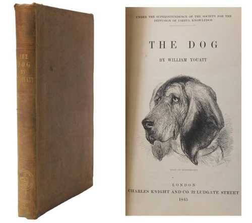 Youatt (William). The Dog, first edition, publisher's tooled brown cloth, 8vo, 1848. From the...