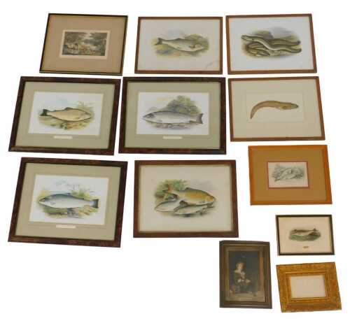 Various prints relating to fish, angling, etc. (a quantity) From the collection of Derek John...