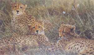 Alan Hunt (b.1947). Twelve signed limited edition prints, titled Who's The Fairest of them All?,... - 8