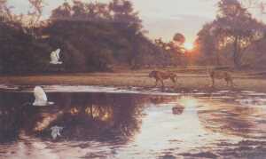 Alan Hunt (b.1947). Twelve signed limited edition prints, titled Who's The Fairest of them All?,... - 12