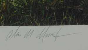 Alan Hunt (b.1947). Twelve signed limited edition prints, titled Who's The Fairest of them All?,... - 13